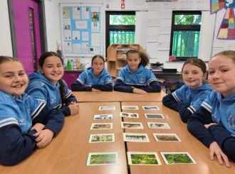 St Patricks Primary School Legamaddy Y7