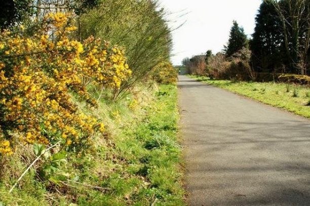 Comber Greenway