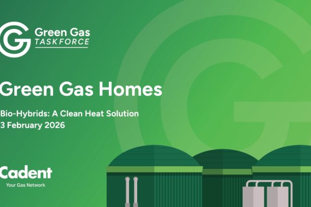 Taskforce Report Green Gas Homes Page 0001